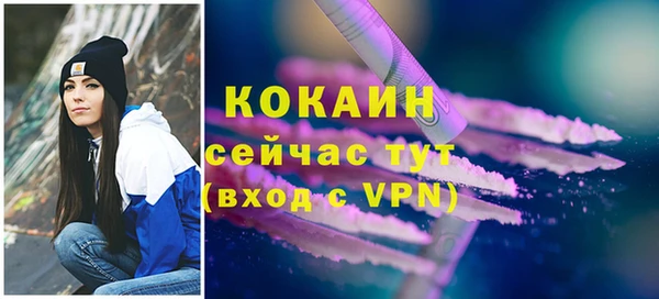 spice Алексин