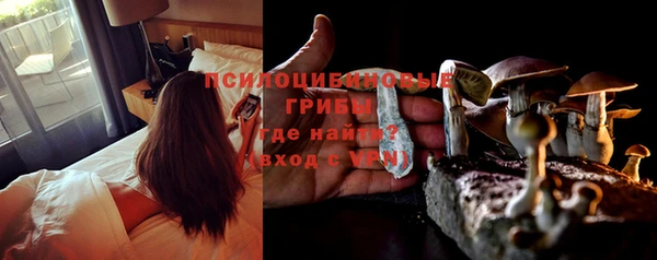 прущие крисы Алексеевка