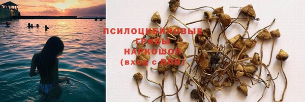 прущие крисы Алексеевка