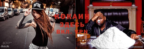 крисы Абаза