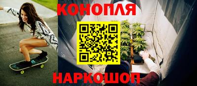 гидра Краснокаменск