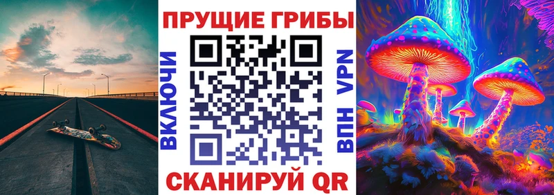 блэк спрут как зайти  Севастополь  Псилоцибиновые грибы мухоморы  где купить  