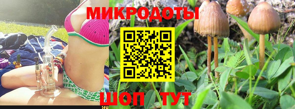 Галлюциногенные грибы Psilocybine cubensis  Вход с VPN  Севастополь 