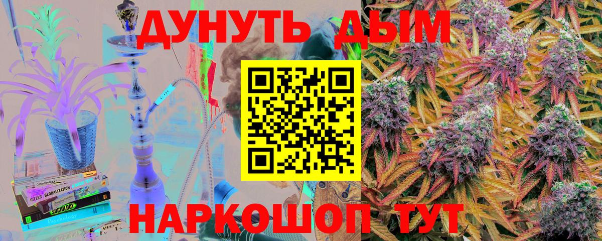 Конопля гибрид Севастополь